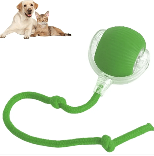 Smart Rolling Pet Ball