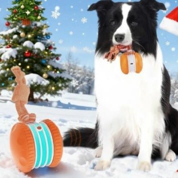 Interactive Pet Rolling Ball Toy USB Rechargeable
